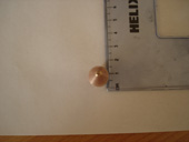 DSC07896.JPG